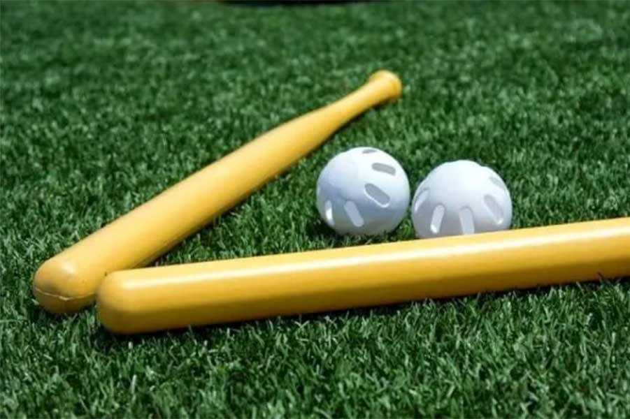 Lake Bluff Wiffle Ball Classic